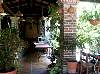 rio_san_pedro_tla_112702-1.jpg