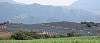 agave_guad_112602-1s.jpg